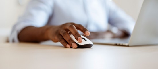 La télécorrection de votre déclaration des revenus 2024 est possible !